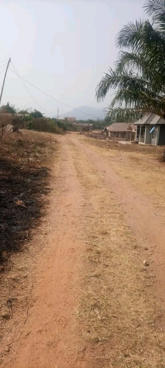 Grading of Okemesi/Ido-Ile LCDA Roads gallery image